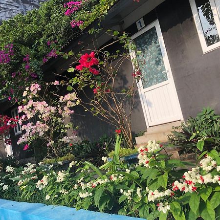 Cat Ba Countryside Homestay Dong Khe Sau Kültér fotó