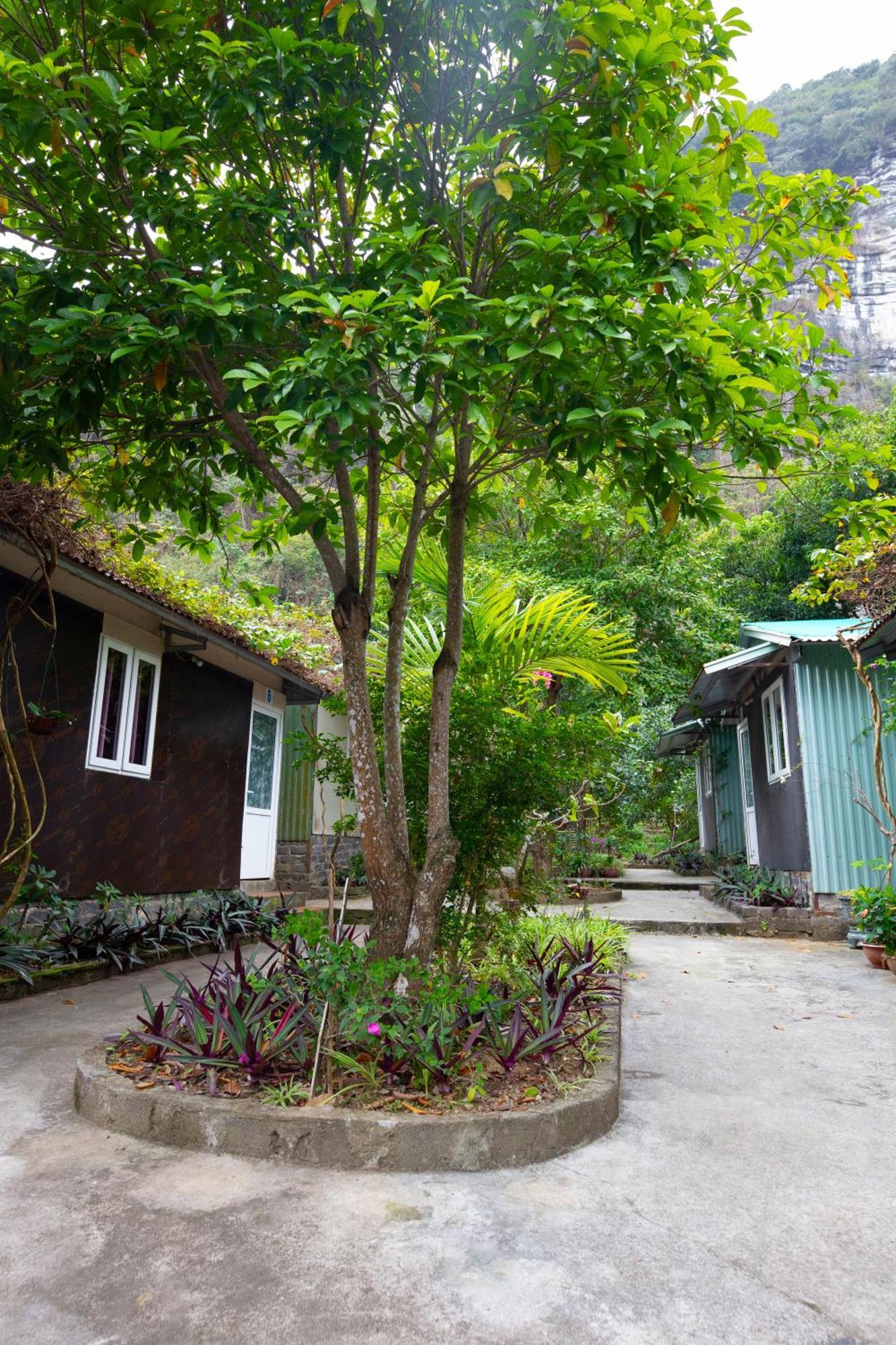 Cat Ba Countryside Homestay Dong Khe Sau Kültér fotó
